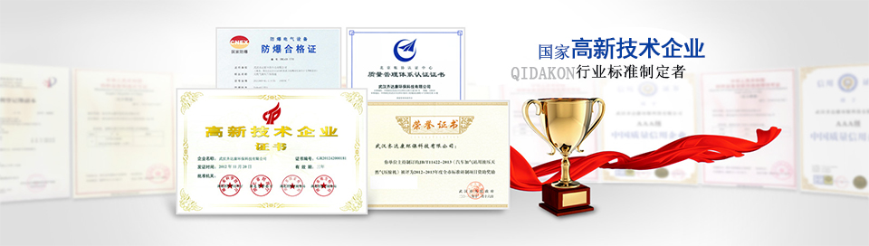 齊達(dá)康——國(guó)家高新技術(shù)企業(yè)，行業(yè)標(biāo)準(zhǔn)制定者！